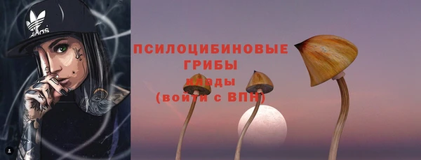 дмт Снежинск