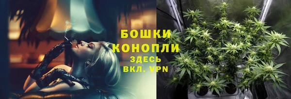 дмт Снежинск